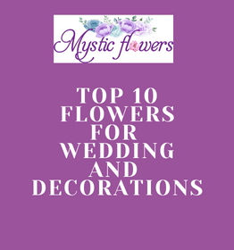 Top 10 Flowers For Wedding Bouquet And Decorations